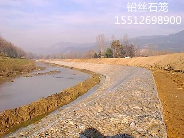 timg46146_副本.jpg